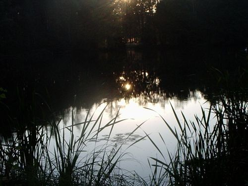 rybnik